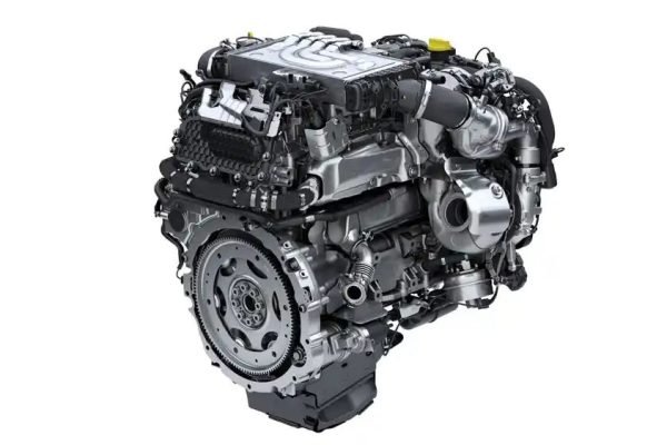 WhatsApp Image 2025-10-31 at 12.44.07 PM